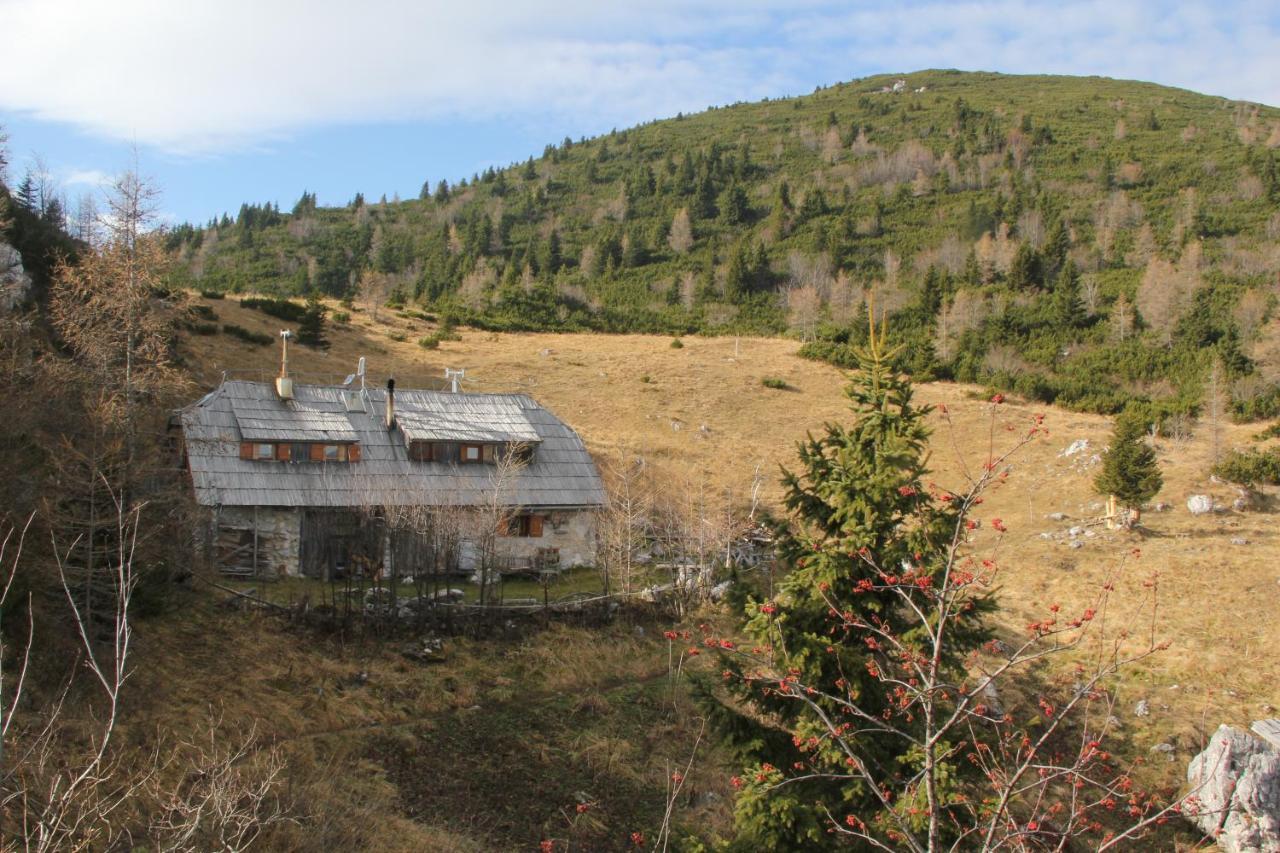 B&B Pod Skalo Kamnik Eksteriør bilde